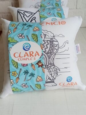 ALMOHADONES PARA PINTAR 20X20